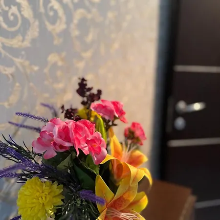 Luxury アパート