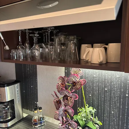 Lägenhet Luxury Bukarest