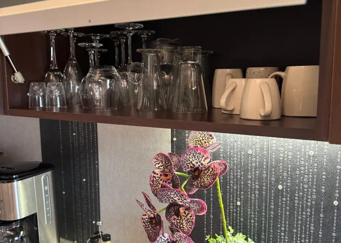 Daire Luxury Bükreş